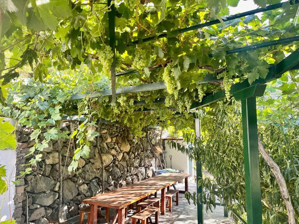 Villa De Taburiente エル・パソ エクステリア 写真
