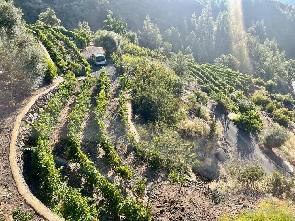 Villa De Taburiente エル・パソ エクステリア 写真